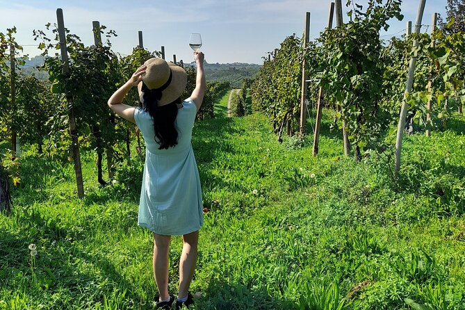 2 Guests Private Prosecco Road Tour All Inclusive from Venice - Why the Prosecco Road Works So Well for a 7-Hour Day