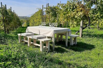 2 Guests Private Prosecco Road Tour All Inclusive from Venice - First Stop: Conegliano’s Castle Views and Cicchetti Pairings