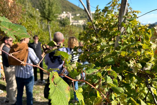 2 Guests Private Prosecco Road Tour All Inclusive from Venice - San Pietro di Feletto: Where Rolling Hills Get Steeper