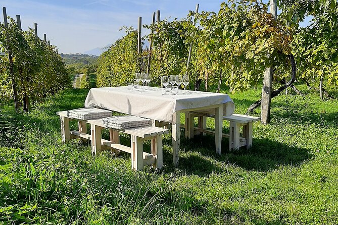 2 Guests Private Prosecco Road Tour All Inclusive from Venice - First Stop: Conegliano’s Castle Views and Cicchetti Pairings