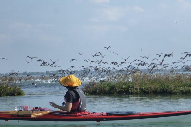 2 Hour Night Kayak Tour in Venice, premium experience with sunset - Gear, Kayak Tutorial, and Getting Control Fast