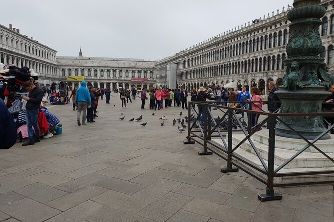 3-hour Best of Venice Highlights Private Walking Tour - Rialto Bridge: the commercial heart of Venice