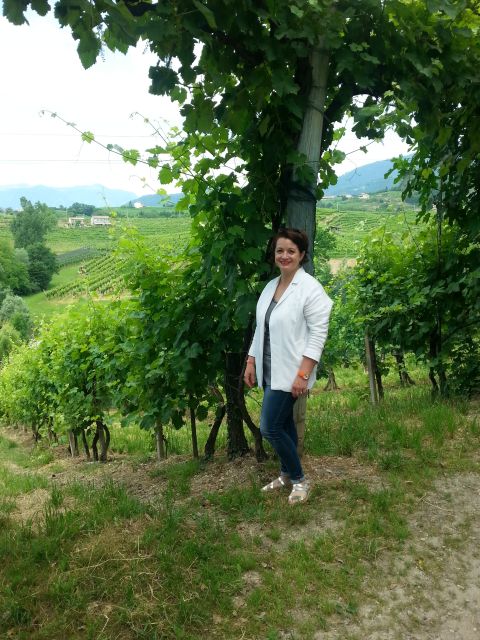8-Hour Prosecco Wine and Tastings Tour from Venice or Padua - Quick Hits