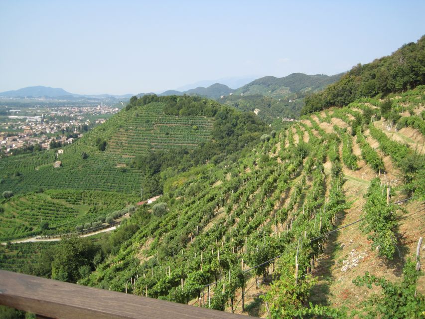 8-Hour Prosecco Wine and Tastings Tour from Venice or Padua - Getting Out of Venice or Padua Into Real Prosecco Country