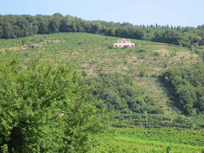 8-Hour Prosecco Wine and Tastings Tour from Venice or Padua - The Vineyard Walk and the Lunch Break You’ll Look Forward To