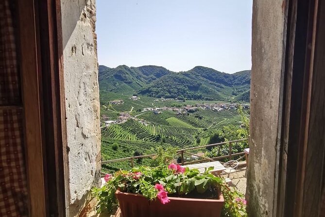 Adventure in the Prosecco Hills by Yellowboot - Venice to Conegliano by train: the smart way to start