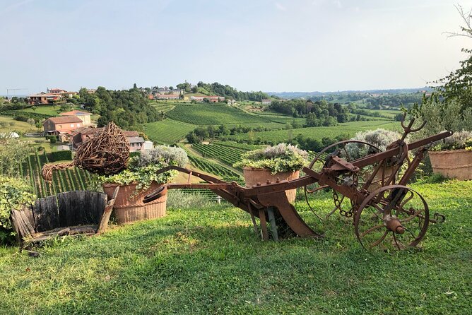 Adventure in the Prosecco Hills by Yellowboot - What you’ll learn about Prosecco (beyond the tasting)