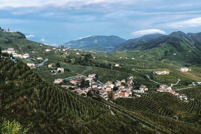Adventure in the Prosecco Hills by Yellowboot - Price and value: $167.21 per person, what you’re really buying