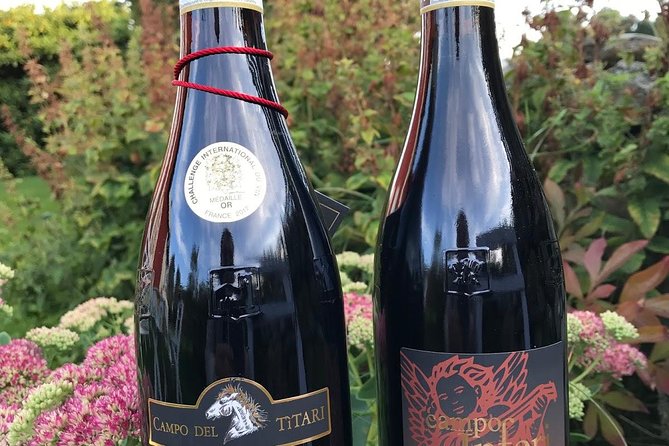 Amarone-Valpolicella tour. Visit Verona. From Venice - Verona Walking Tour: What You’ll Actually Get Out of the Old Center