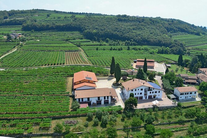 Amarone-Valpolicella tour. Visit Verona. From Venice - The Tasting Lineup: Classico, Ripasso, Amarone, and Recioto