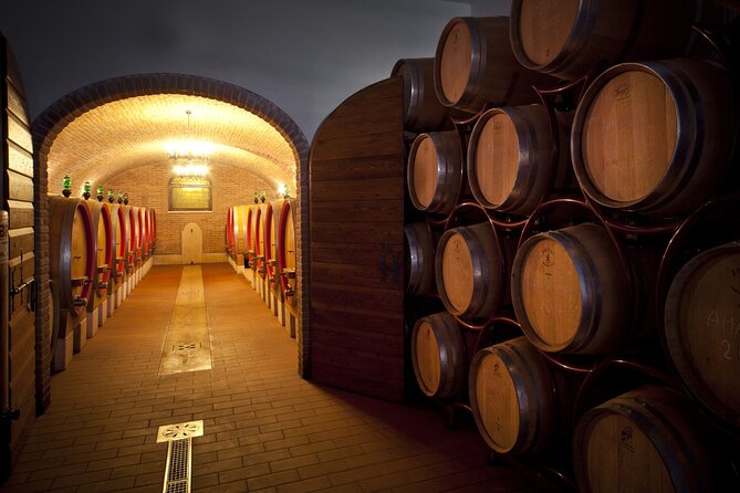 Amarone-Valpolicella tour. Visit Verona. From Venice - Small Group, Relaxed Pace: Private-Feel Service With a Cap of 7