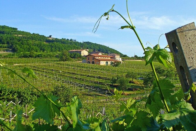 Amarone-Valpolicella tour. Visit Verona. From Venice - Practical Tips Before You Go (So the Day Feels Easy)
