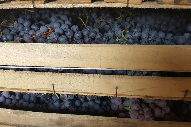 Amarone Wine Tour (all-inclusive full day with lunch and expert wine guide) - Getting to Traghetto Venezia for a 9:00 start