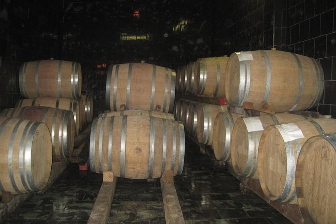 Amarone Wine Tour (all-inclusive full day with lunch and expert wine guide) - How Mario customizes the day for your interests
