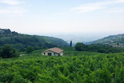 Amarone Wine Tour (all-inclusive full day with lunch and expert wine guide) - Lunch at Trattoria Alla Porchetta: the 2-hour reset you’ll thank yourself for
