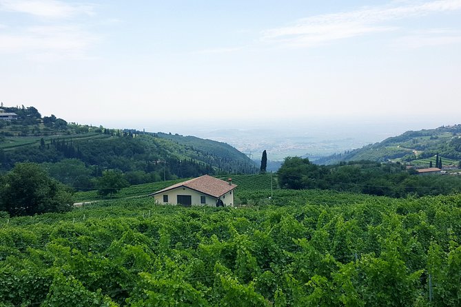 Amarone Wine Tour (all-inclusive full day with lunch and expert wine guide) - Lunch at Trattoria Alla Porchetta: the 2-hour reset you’ll thank yourself for