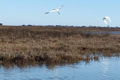 Burano Kayak Eco-Tour Through the Venetian Lagoon - Meeting at Fondamente Nove and reaching the lagoon area