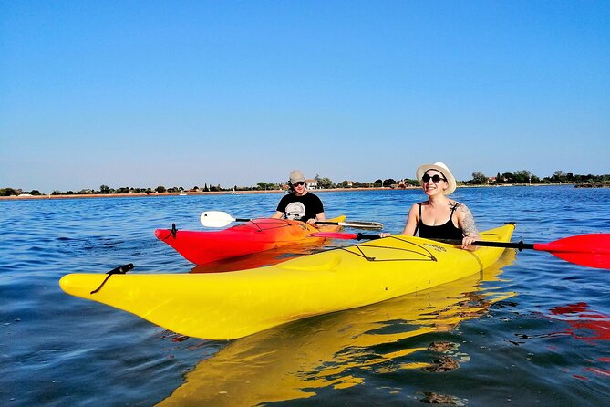 Burano Kayak Eco-Tour Through the Venetian Lagoon - Wildlife spotting in salt marshes (and how the guide helps you see it)