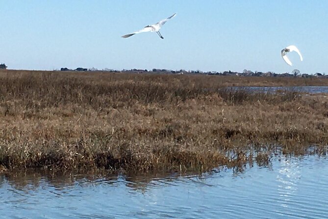 Burano Kayak Eco-Tour Through the Venetian Lagoon - Meeting at Fondamente Nove and reaching the lagoon area
