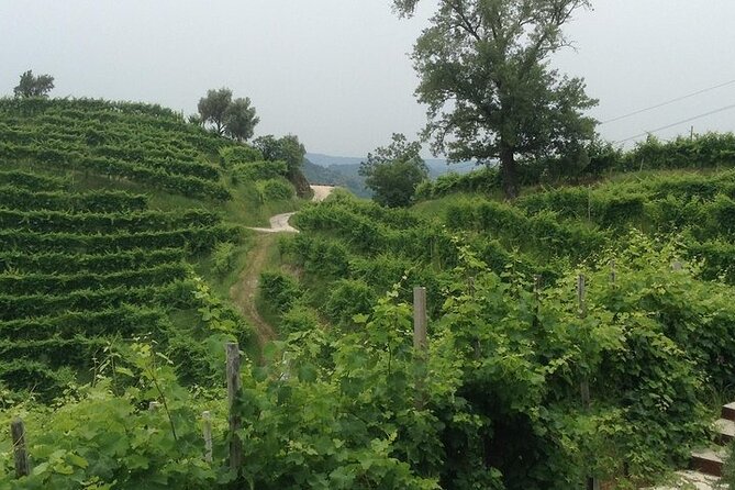 Exclusive Prosecco Wine Tour from Venice - Small Group - What You’ll Taste: Brut, Extra Dry, Millesimato, and Rosé