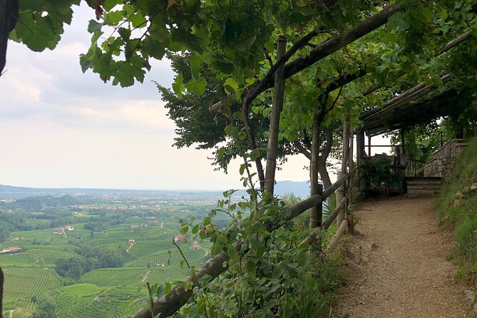 Food and Wine Tour on the Prosecco Hills from Venice - Valdobbiadene: Where the DOCG Hills Feel Like the Main Event