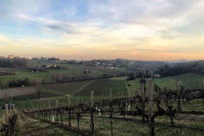 Food and Wine Tour on the Prosecco Hills from Venice - Conegliano Castle Views and the First Taste of DOCG Country