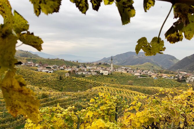 Food and Wine Tour on the Prosecco Hills from Venice - Wine, Snacks, Lunch, and Grappa: What You’re Eating and Why It Matters