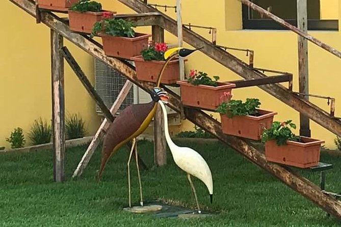 FriendInVenice Murano Burano Torcello Private Tour By Luxury Boat - Who should book this Murano, Burano, Torcello tour?