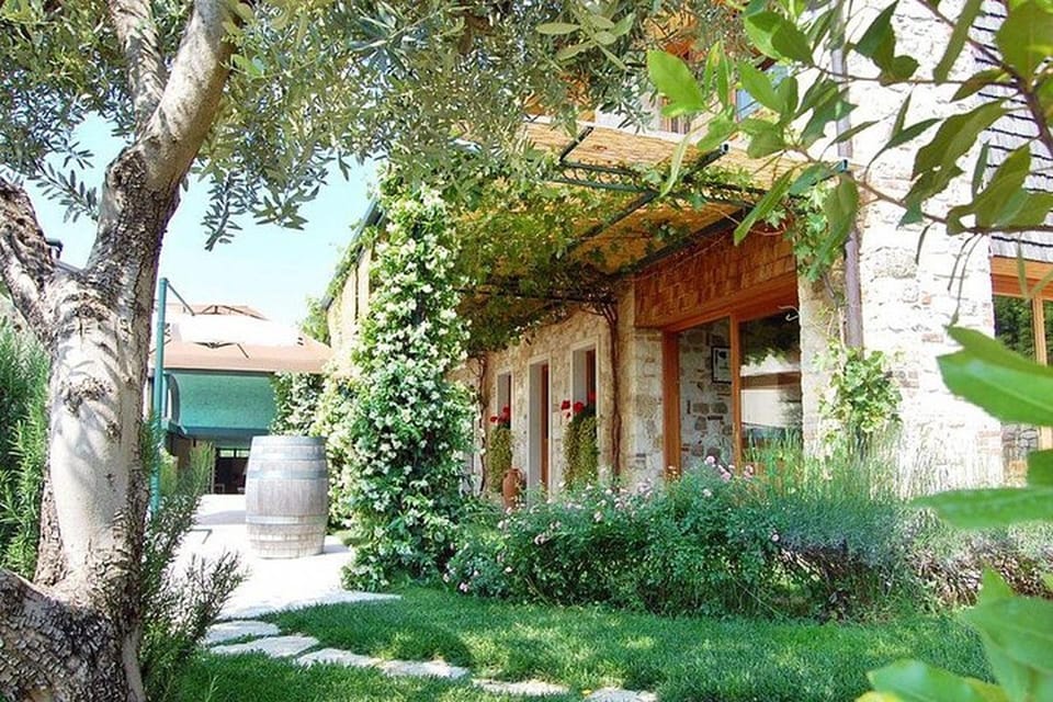 From Venice: Wine and Food tour in the Prosecco Hills - The morning plan: Piazzale Roma meet-up and a quick scenic stop