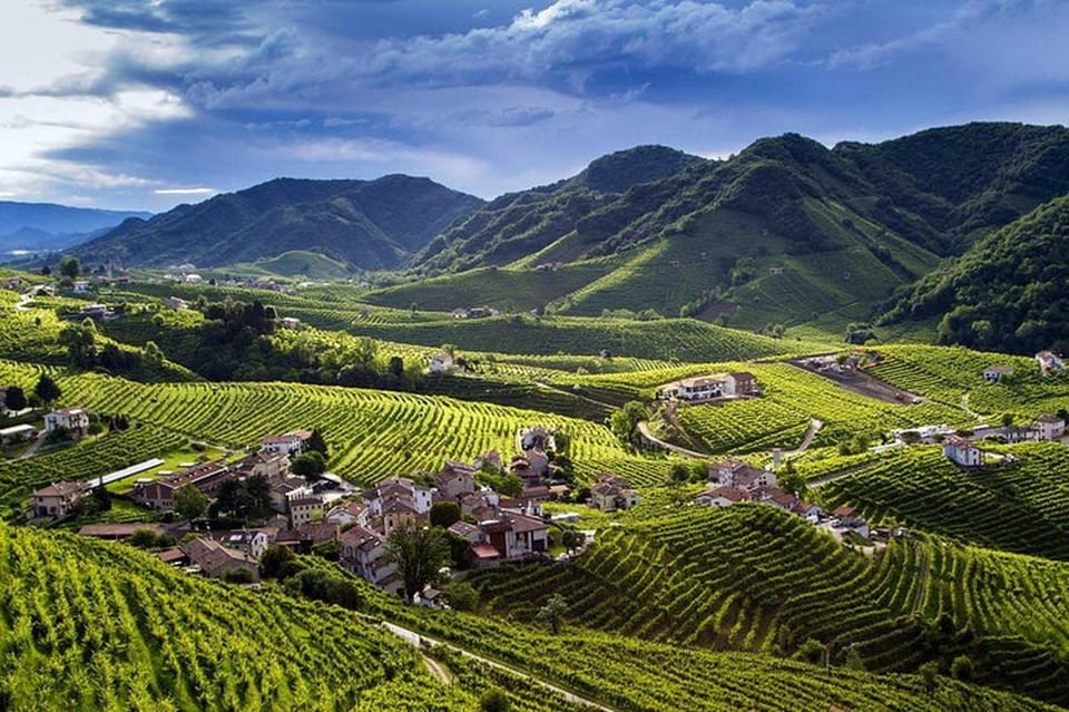 From Venice: Wine and Food tour in the Prosecco Hills - Meeting the owner and tasting four Prosecco DOCG types