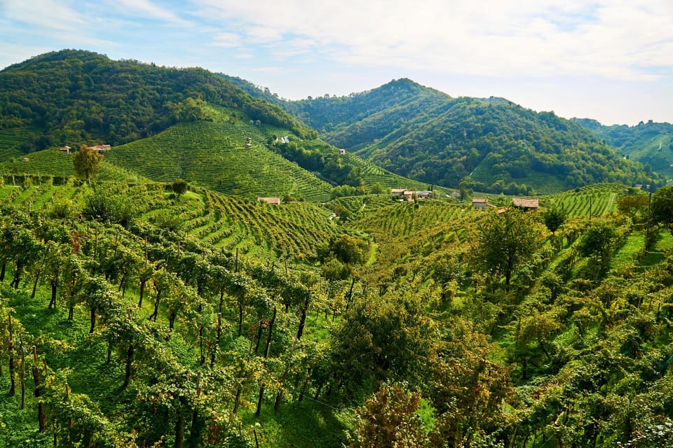 From Venice: Wine and Food tour in the Prosecco Hills - Timing and comfort: a 5-hour day with a real schedule behind it