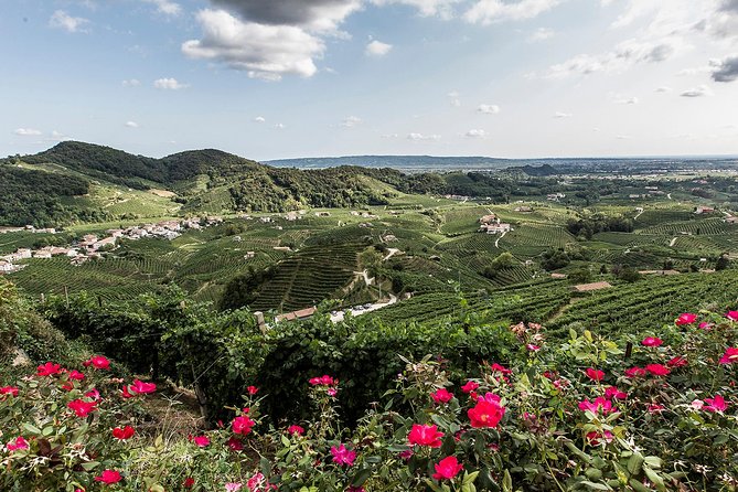 Full day Private Prosecco Tour, with certified Sommelier - Lunch is on you, but the guide makes it easier than you think