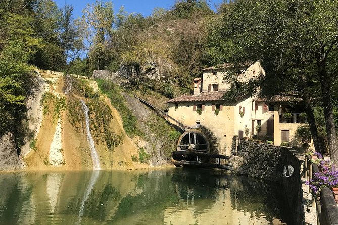 Full day Private Prosecco Tour, with certified Sommelier - More wineries after lunch: organic producers and producers known for style experiments