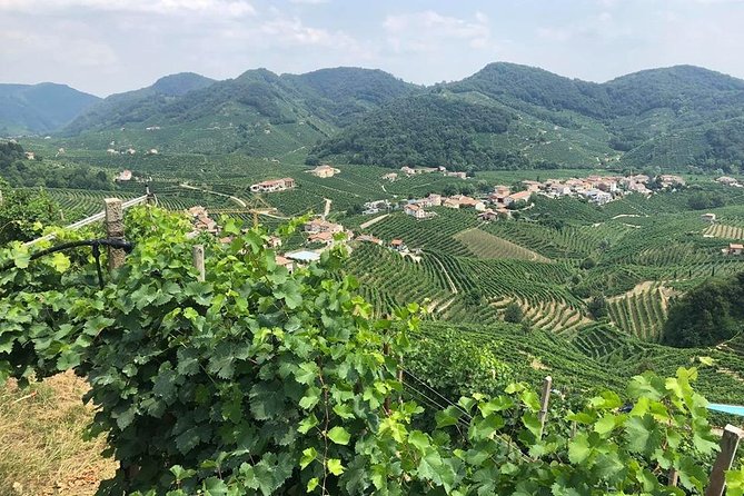 Full Day Prosecco and Cheese Tasting from Venice - Why This Prosecco and Cheese Day Works So Well