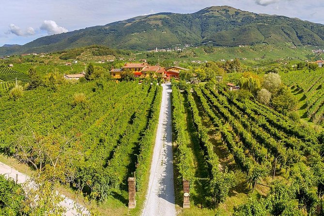 Full Day Prosecco and Cheese Tasting from Venice - Who Should Book This Prosecco and Cheese Day