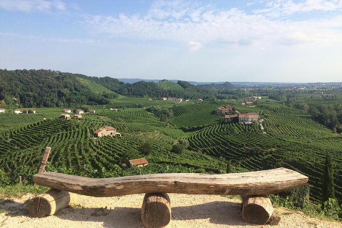 Full Day Wine Tour and Tasting in the Prosecco Region - The terrace views: why this stop matters more than you think