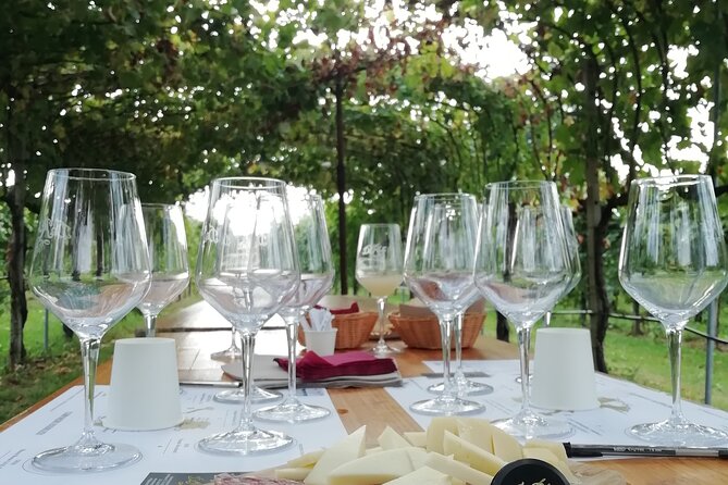 Full Day Wine Tour and Tasting in the Prosecco Region - Winery morning in Valdobbiadene: production, tasting, and a real break