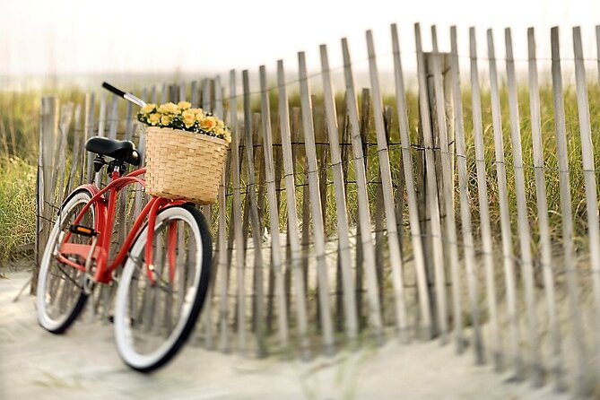 Lido Bike Tour: With a Local on the Island of Cinema - Getting Oriented Fast: Why Lido by Bike Works
