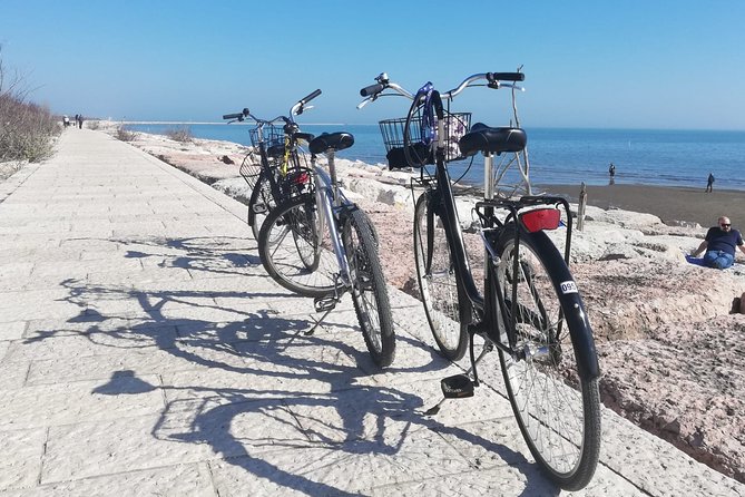 Lido Bike Tour: With a Local on the Island of Cinema - Alberoni Dunes: Pine Forest Quiet and a More Wild Beach Mood