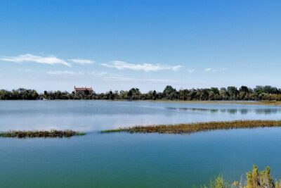 Lio Piccolo: Flamingos & Birdwatching Bike Tour in the Lagoon - Pick Your Bike: City Bike, Tandem, or the E-Bike Option