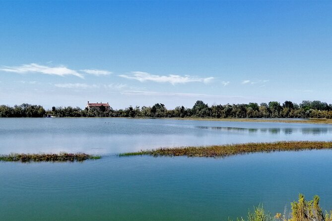 Lio Piccolo: Flamingos & Birdwatching Bike Tour in the Lagoon - Pick Your Bike: City Bike, Tandem, or the E-Bike Option