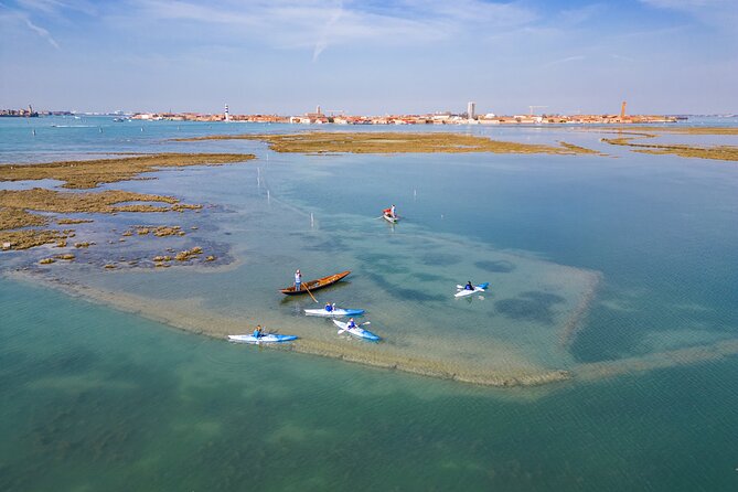 Nature Kayak Tour: Exploring Europe’s Largest Lagoon - Wetlands + Wildlife Stories: What You Actually Learn Out There