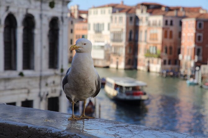 Photography workshop in the magical Venice (3h) - Camera gear and what to bring (and what not to expect)