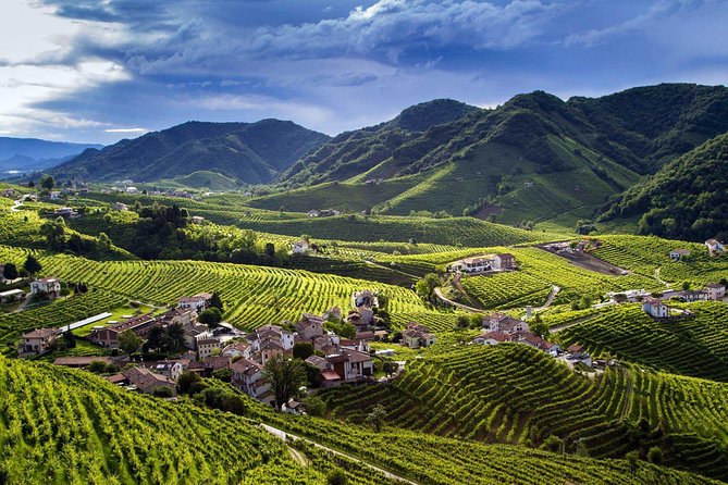 Premium Prosecco Hills Winery Tour with Prosecco Tastings & Food - Leaving Venice Early: The Part Most People Underestimate