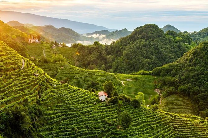 Premium Prosecco Hills Winery Tour with Prosecco Tastings & Food - Conegliano Winery Time: Owner-Hosted, Question-Friendly, and Food-First