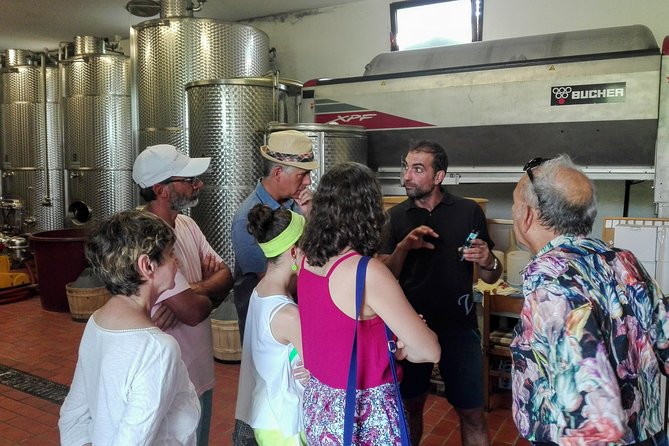 Premium Prosecco Hills Winery Tour with Prosecco Tastings & Food - Should You Book This Prosecco Hills Tour?