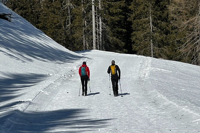 Private Dolomites Winter Day Tour from Venice - Value and Price: What $633.20 Per Person Really Covers
