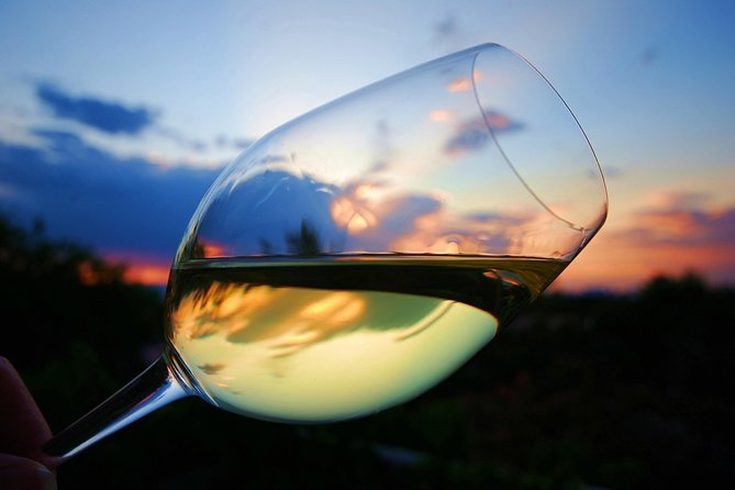 Private Half Day Wine Tasting tour: Road Of The Doges - From Venice to Veneto in four hours: how the timing really works