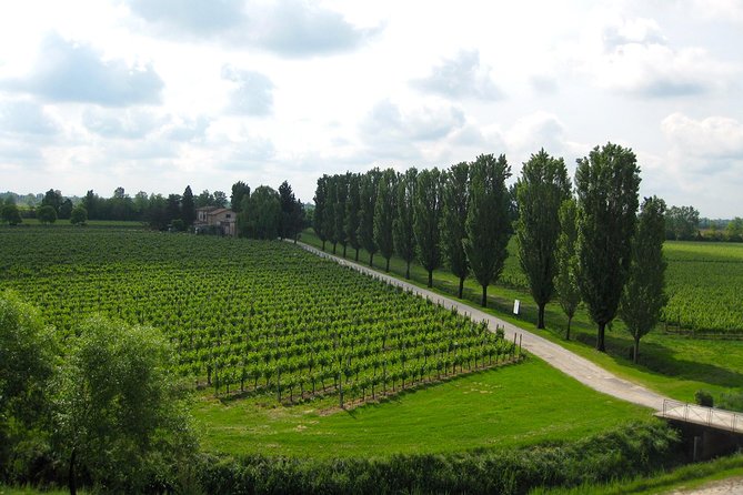 Private Half Day Wine Tasting tour: Road Of The Doges - Who this Veneto wine tasting suits best