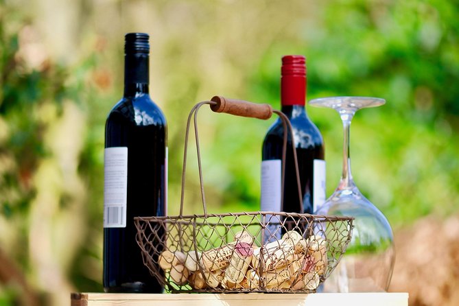 Private Half Day Wine Tasting tour: Road Of The Doges - The villa winery: what makes a 17th-century cantina visit worth it